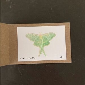 Inciardi prints - luna moth